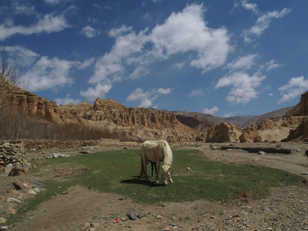 upper-mustang-3